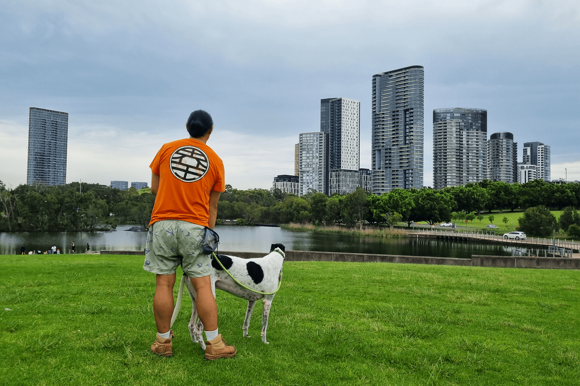 Person with dog facing Lake Belvedere and buildings of Sydney Olympic Park