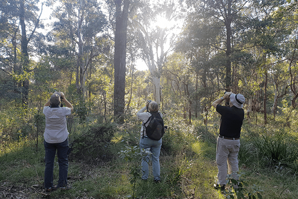 Three volunteers with survey equipment amongst woodland vegetation.