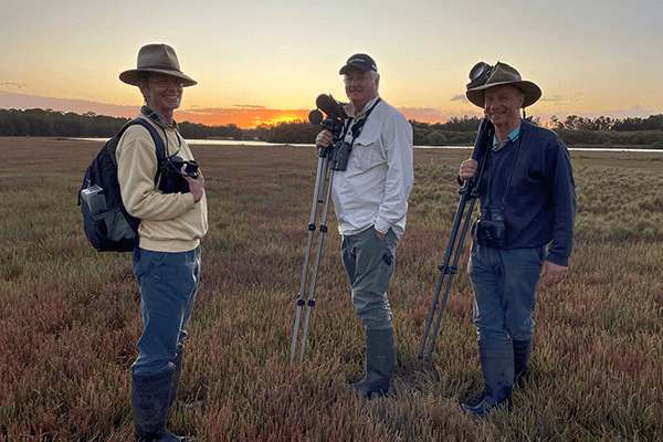 Three volunteers with survey equipment amongst wetland vegetation.