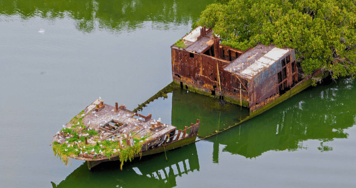 Shipwreck SS Ayrfield 