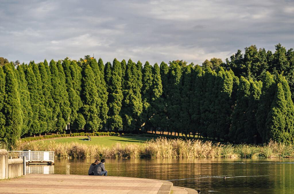 Arc of Pine, Bicentennial Park