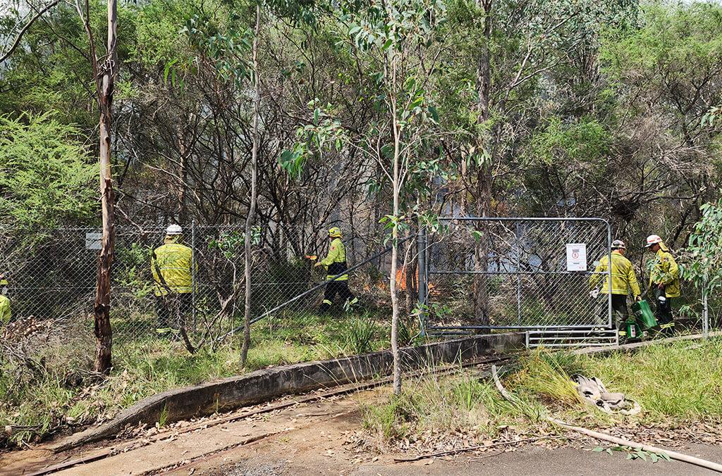 Newington Nature Reserve Hazard Reduction Burn