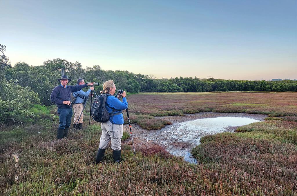 Where do waterbirds go at night?