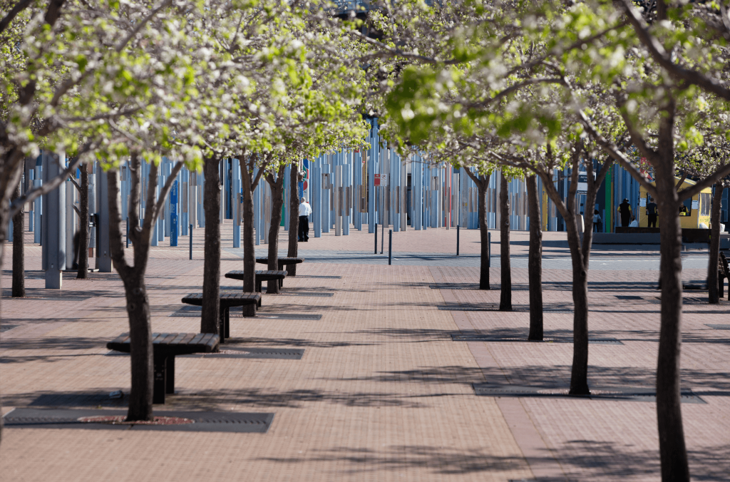 Image of Sydney Olympic Park forecourt in the town centre